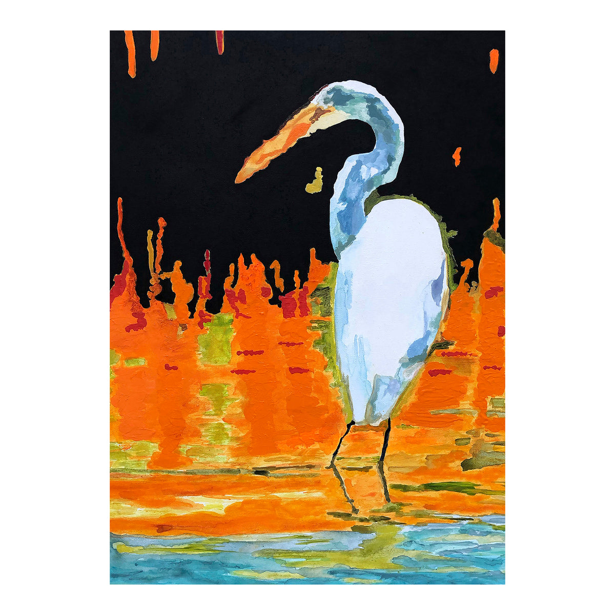 Carte de vœux - AIGRETTE - Aigrette au coucher du soleil dans le marais, carte de vœux 5x7 sur papier glacé avec enveloppe