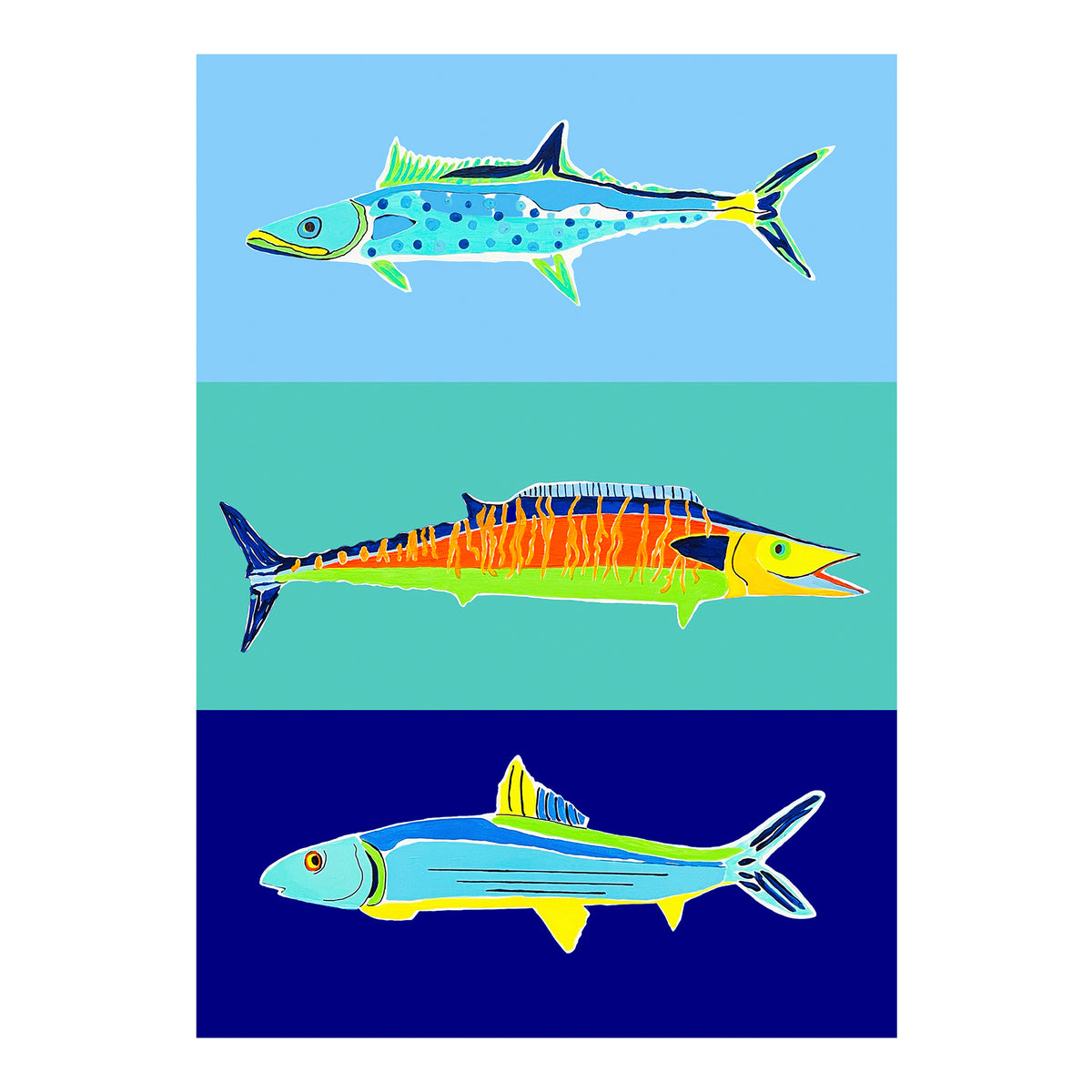 Carte de vœux - POISSONS - Trois poissons : thazard royal, thazard bâtard, et banane de mer. Carte de vœux glacée 5x7 avec enveloppe.