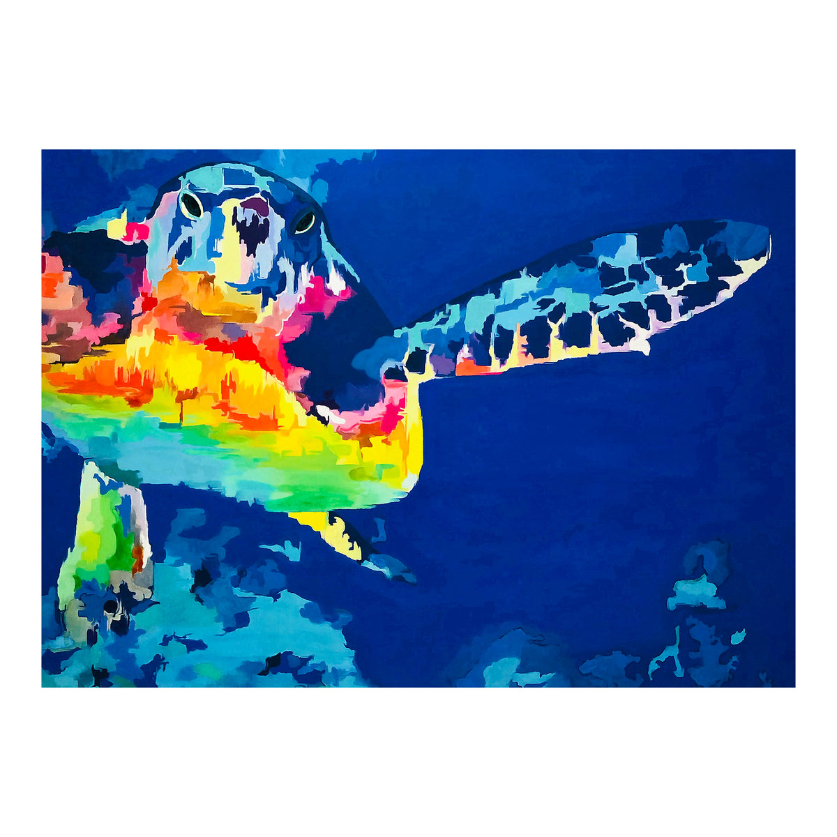 Carte de vœux - TORTUE DE MER - Carte de vœux arc-en-ciel tortue de mer sur papier glacé 5x7 avec enveloppe