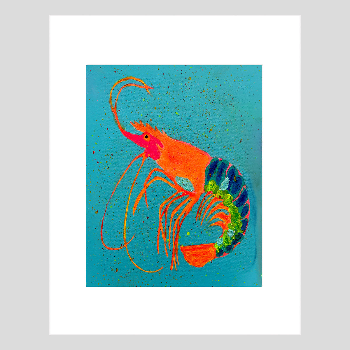 Tirage d'art - CRUSTACÉ - CREVETTE - Reproduction d'art encadrée TropiCool Shrimp Fest, orientée vers la gauche, 11x14 po