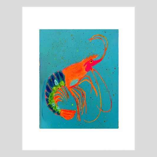 Fine Art Print - CRUSTACEAN - SHRIMP - TropiCool Shrimp Fest Right Facing 11x14 Matted Fine Art Print Reproduction