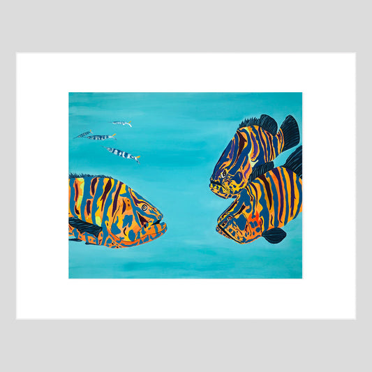 Fine Art Print - FISH - Nassau Groupers 11x14 Matted Fine Art Print Reproduction