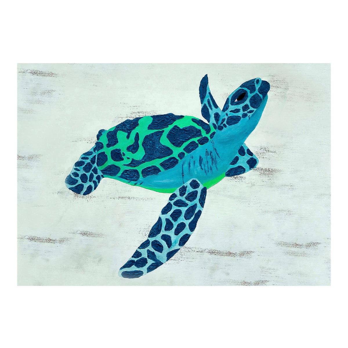Carte de vœux - TORTUE DE MER - Carte de vœux 5x7 sur papier glacé avec enveloppe représentant une tortue de mer aux yeux ensommeillés