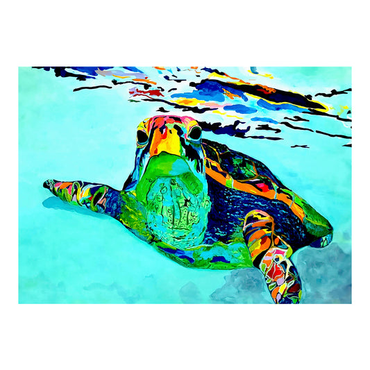 Greeting Card - SEA TURTLE - Trekker Sea Turtle 5x7 Glossy Paper Greeting Card with envelope